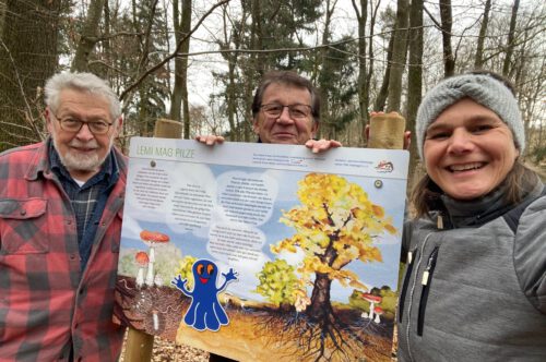 Pilze auf dem Lemberg