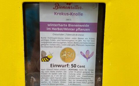 Bienenfutterautomat im Winter