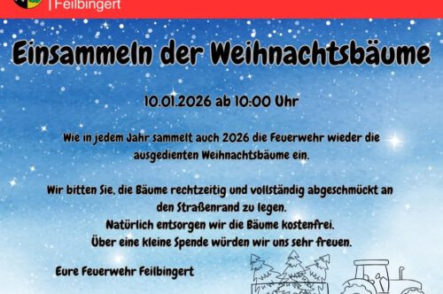 Einsammeln der Weihnachtsbäume