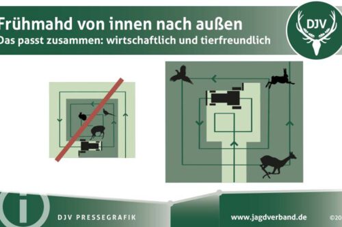 Mähzeit – Gefahr für Wildtiere