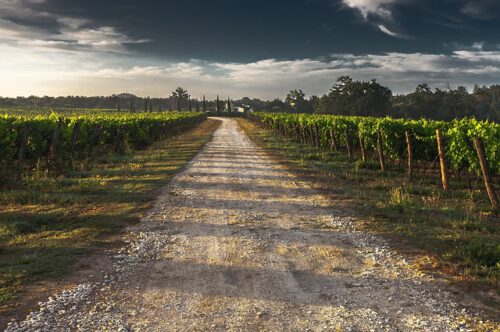 Parken auf Feld- und Wirtschaftswegen